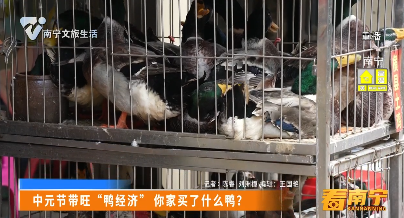中元节带旺“鸭经济” 你家买了什么鸭？