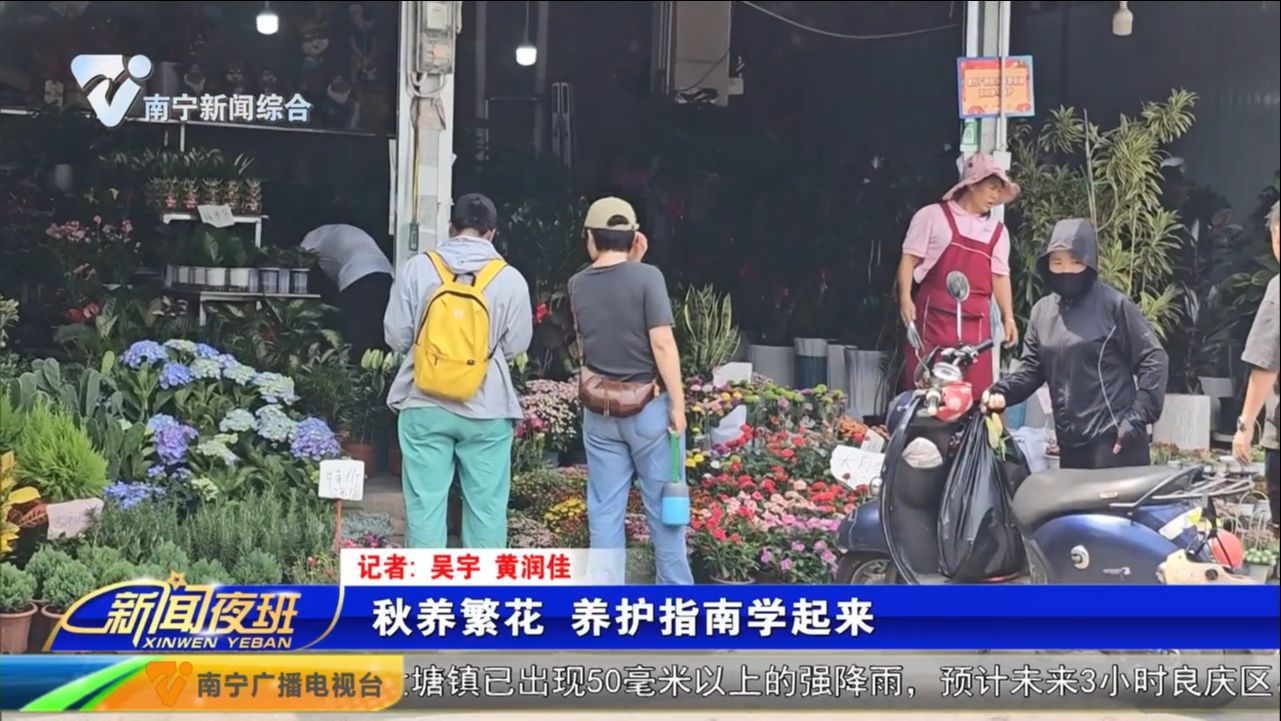 秋养繁花  养护指南学起来