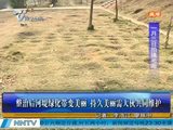 南宁整治后河堤绿化带变美丽 持久美丽需大伙共同维护