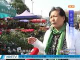 南宁花鸟市场：商铺准备充足 喜迎购买高峰