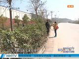 南宁路灯倒地挡道路 路过市民频遭殃