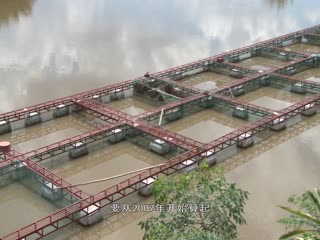 网出来的富“鱼”生活