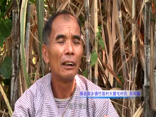 竹莲村的引路人