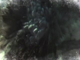 《解码华强北》第一集:《风景的背影》